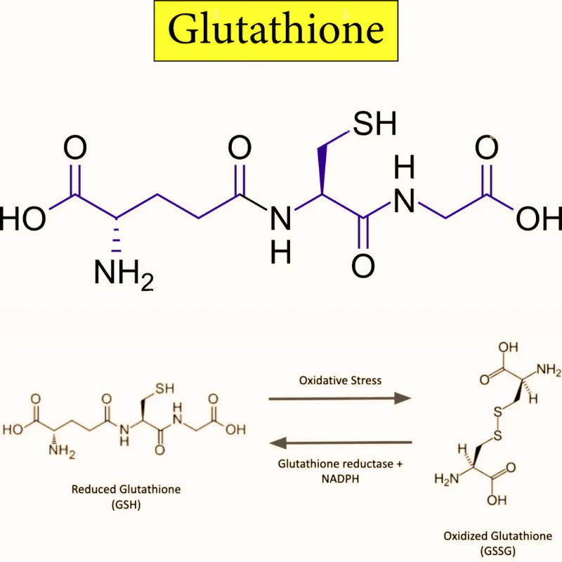 cong-thuc-glutathione-lam-your-skin Does Glutathione whiten skin?