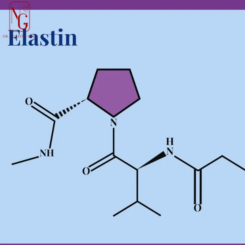elastin la gi