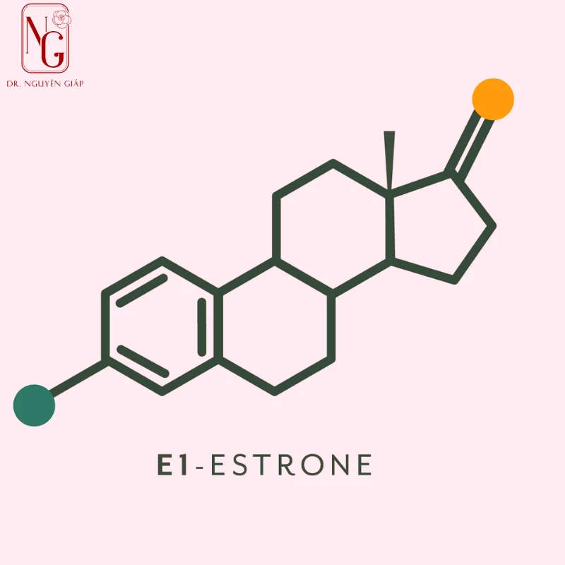 estrogen la gi