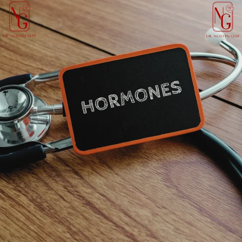 hormone-la-gi hormone la gi