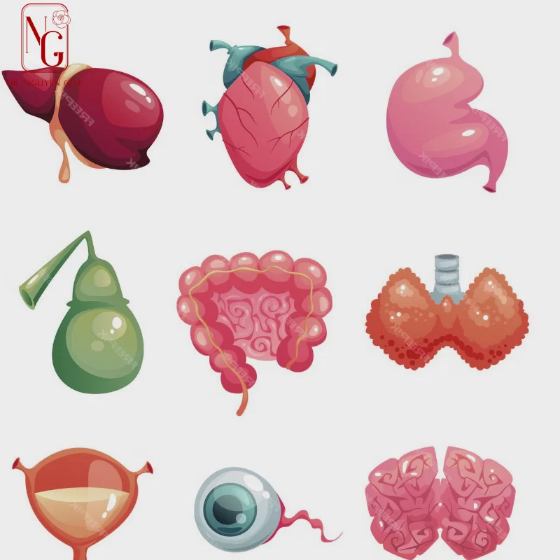 hormone-va-tac-dong-len-hoat-dong-sinh-hoc hormone va tac dong len hoat dong sinh hoc