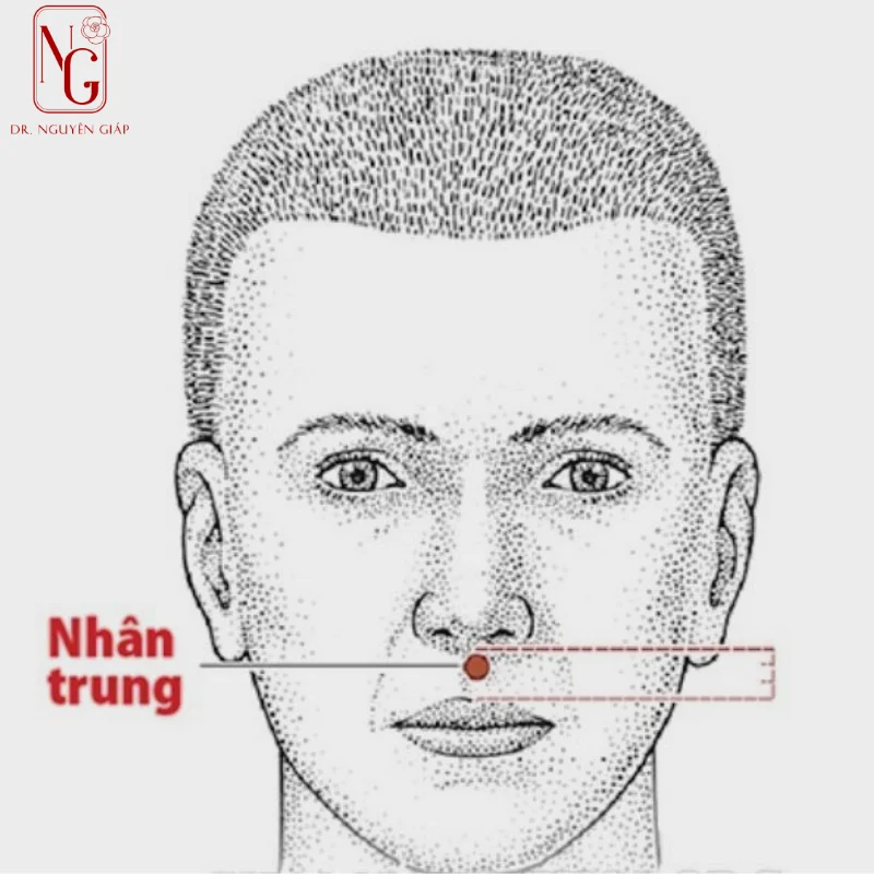 nhan-trung-la-gi-va-o-dau nhan trung la gi va o dau