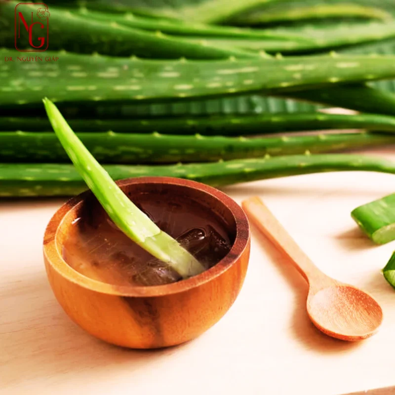su dung nha dam dong da ket hop mat ong